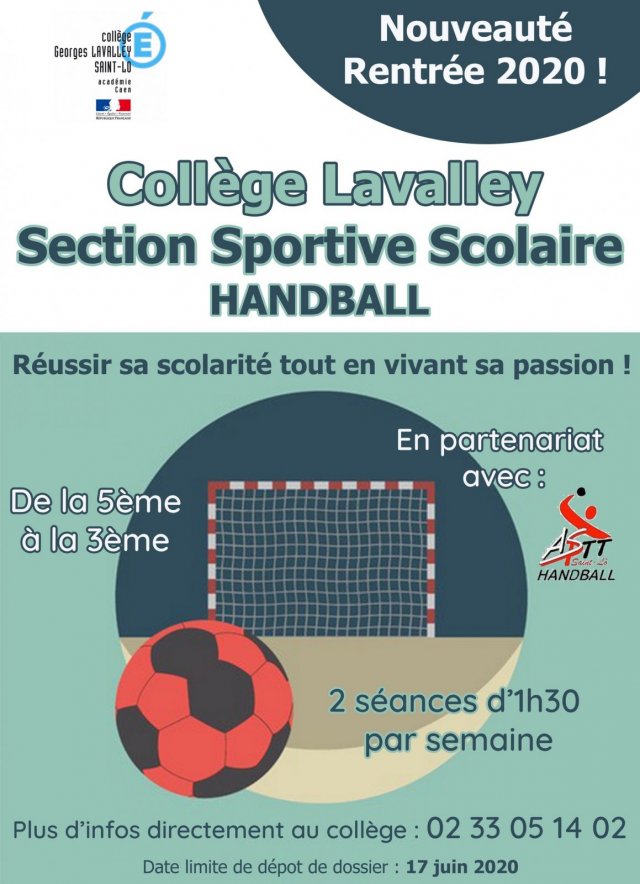 flyer section handball